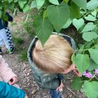 In de tuin - bloemen voor mama
