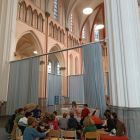 uitstap tanden