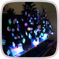 Lichtfestival 